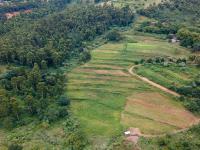  of property in Peacevale