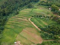  of property in Peacevale