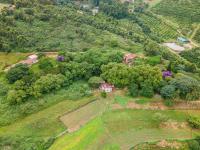  of property in Peacevale