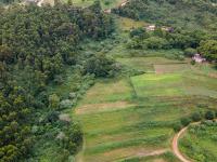  of property in Peacevale