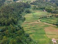  of property in Peacevale