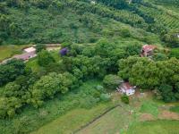  of property in Peacevale