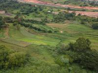  of property in Peacevale