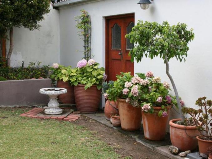 3 Bedroom House to Rent in Fish Hoek - Property to rent - MR691345
