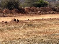  of property in Bendor