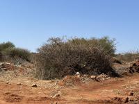  of property in Bendor