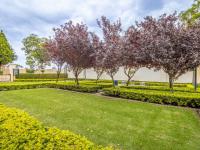  of property in Lone Hill