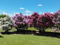  of property in Wepener