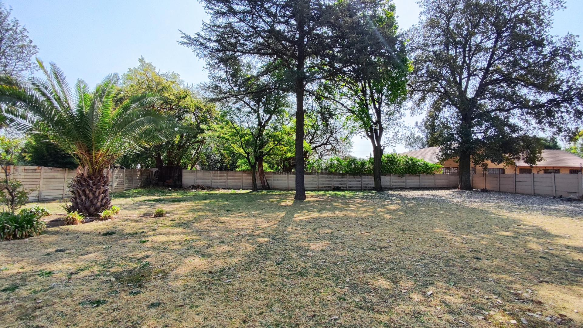 Backyard of property in Selcourt