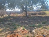  of property in Cashan
