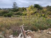  of property in Umkomaas