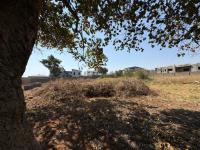  of property in Cashan
