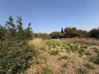  of property in Cashan