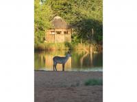  of property in Hoedspruit