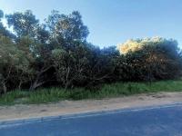  of property in Shelley Point