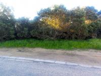  of property in Shelley Point