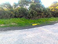  of property in Shelley Point