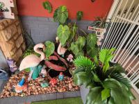  of property in Queensburgh