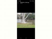  of property in Garthdale A.H