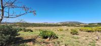  of property in Albertinia