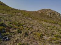  of property in Hermanstad