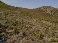  of property in Hermanstad