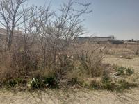  of property in Lambton Gardens