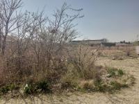  of property in Lambton Gardens