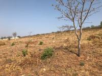  of property in Amandasig