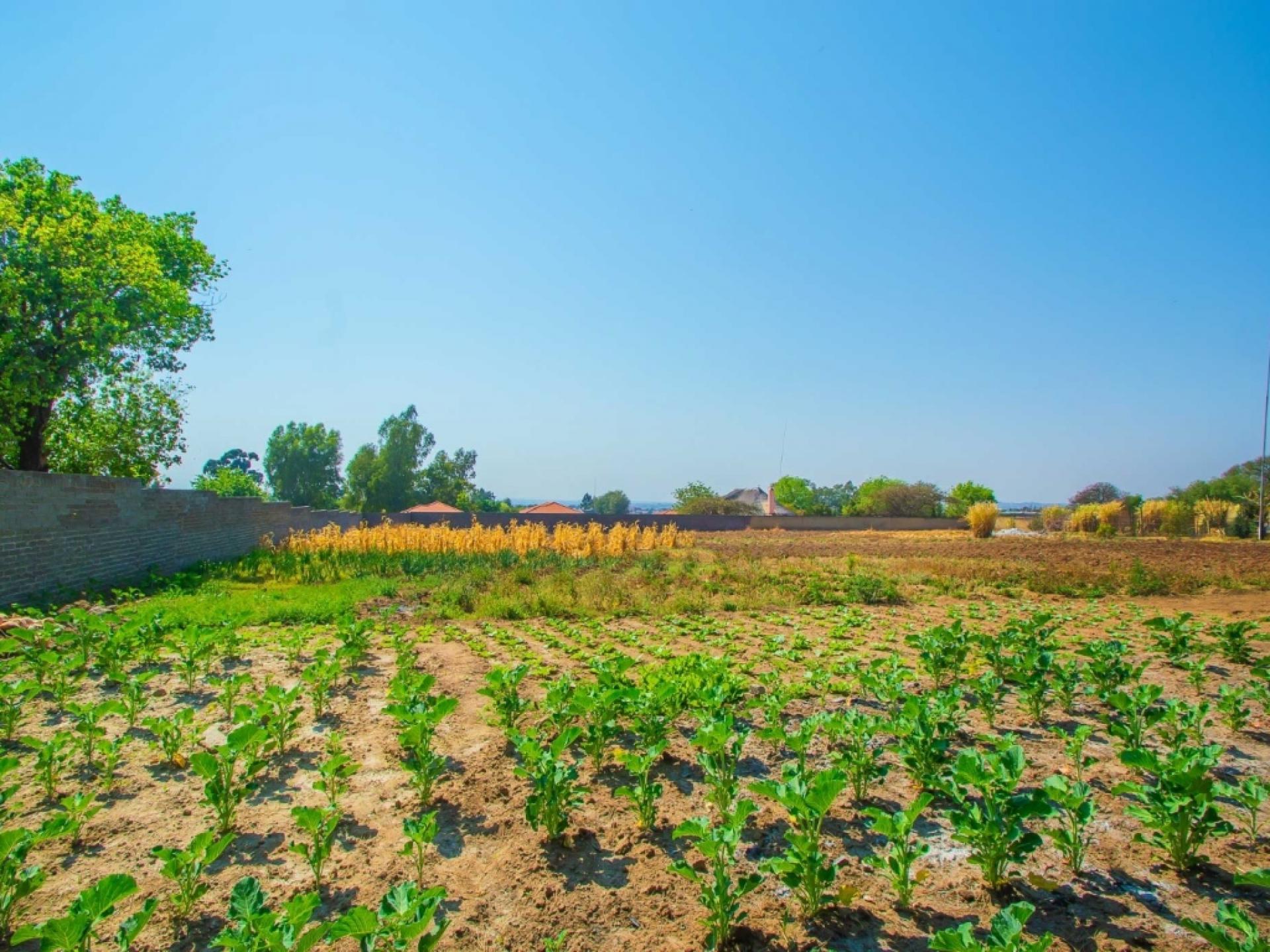  of property in Midrand