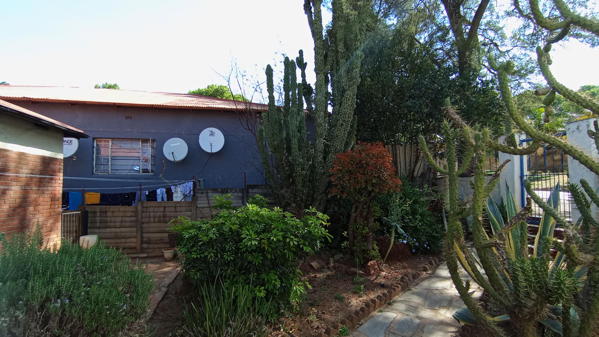 Garden of property in Bezuidenhout Valley