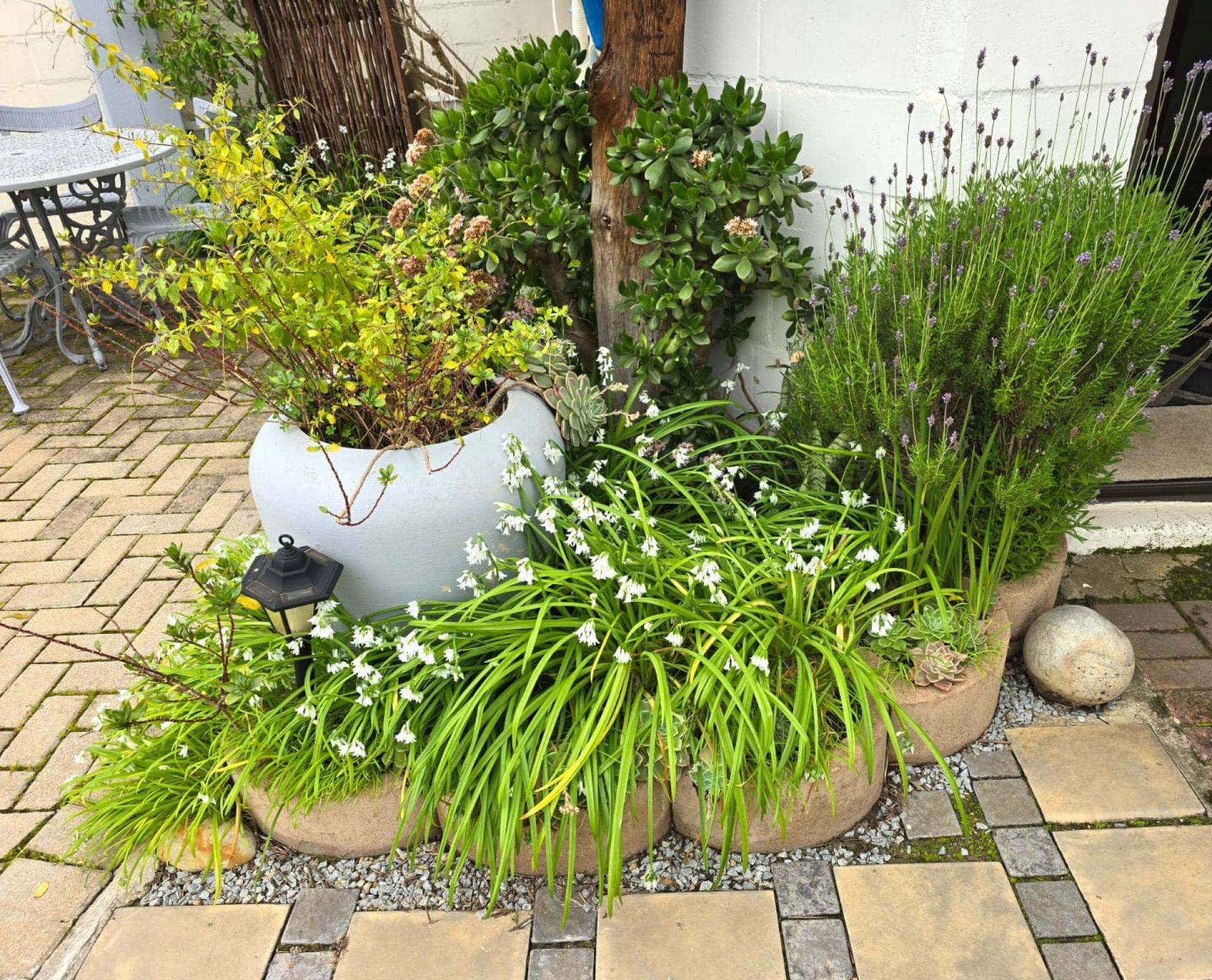  of property in Wellington