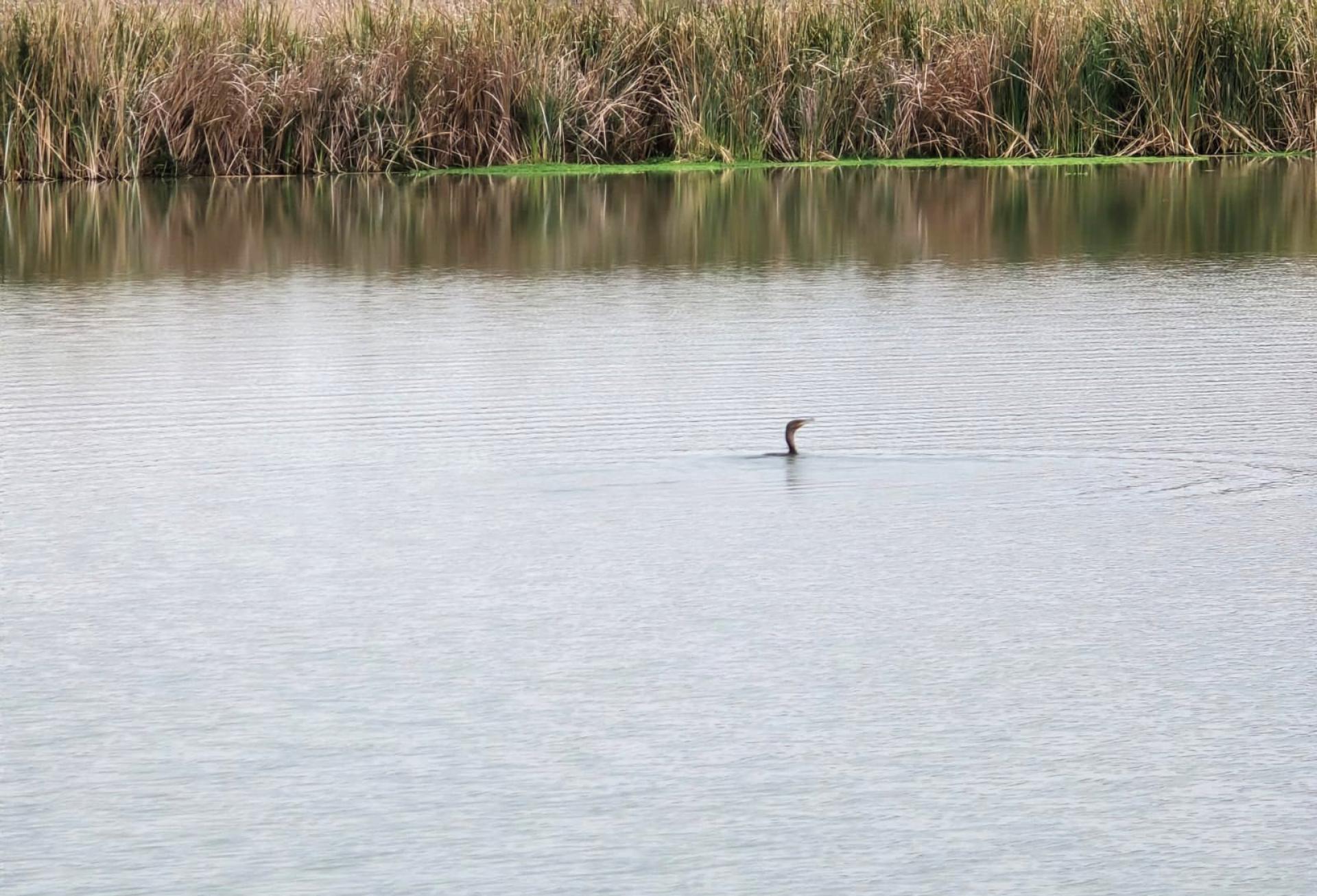  of property in Wellington