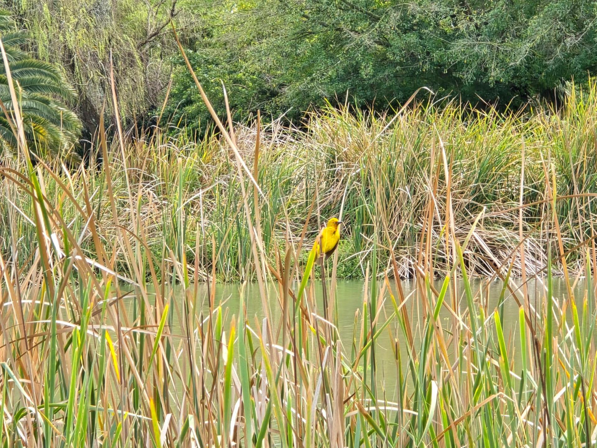  of property in Wellington