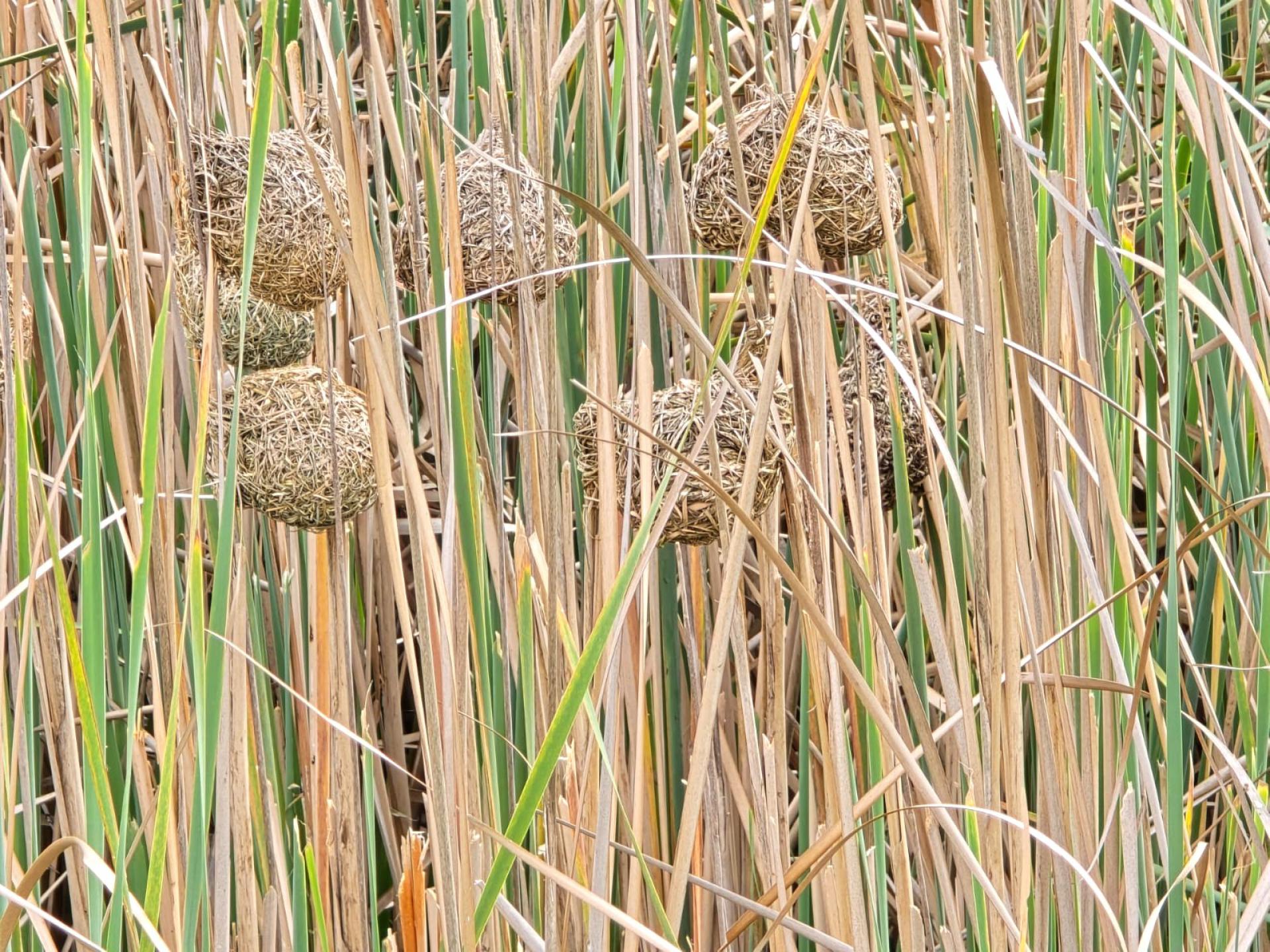  of property in Wellington