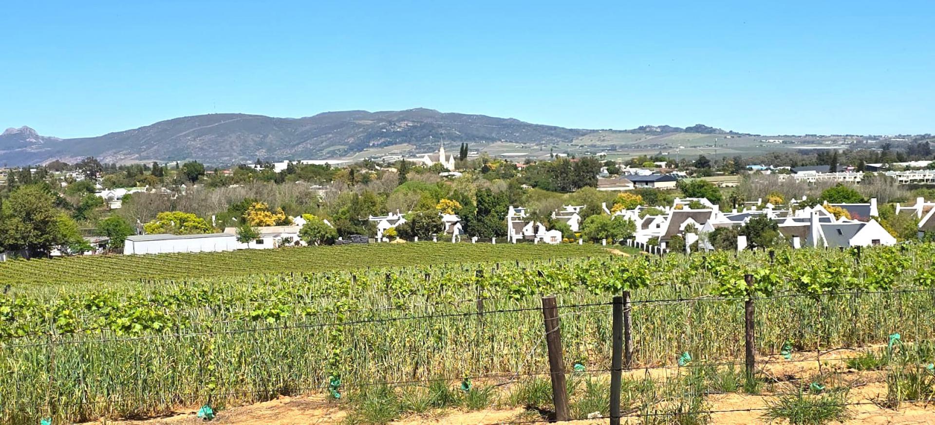  of property in Wellington