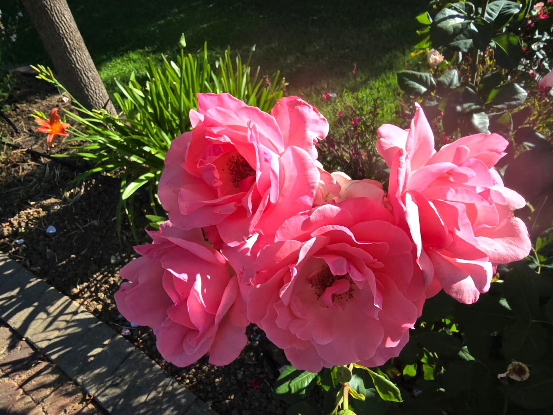  of property in Wellington