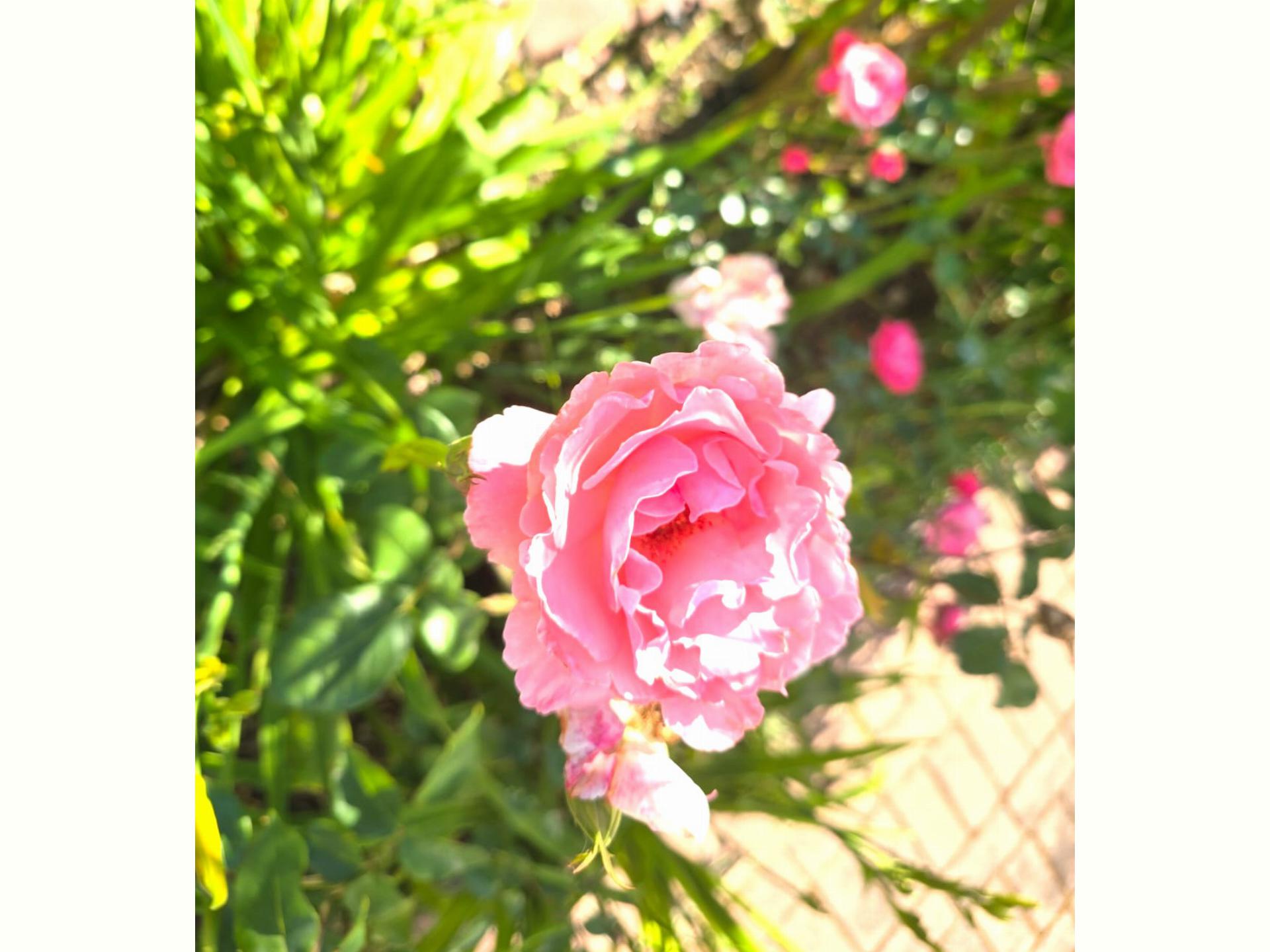  of property in Wellington