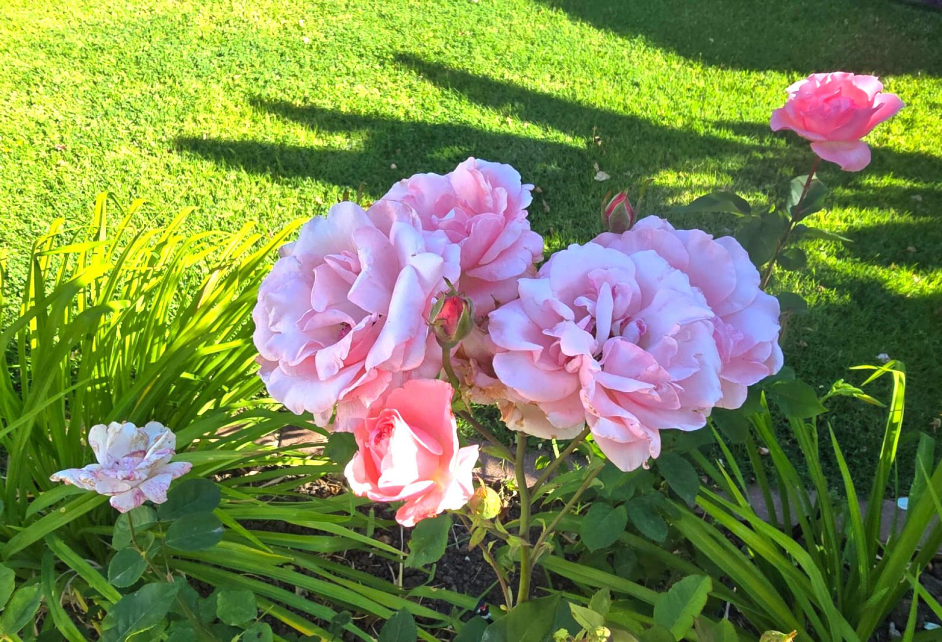  of property in Wellington