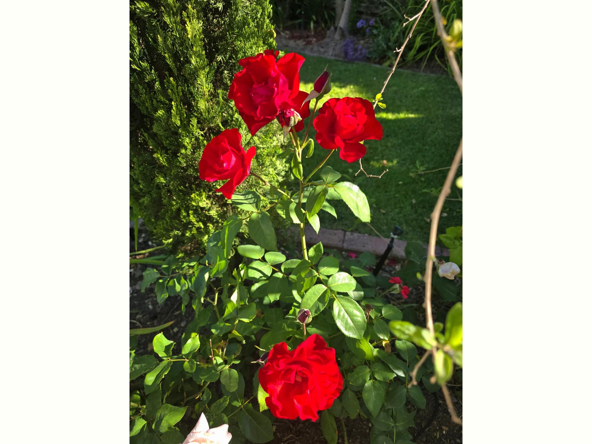  of property in Wellington