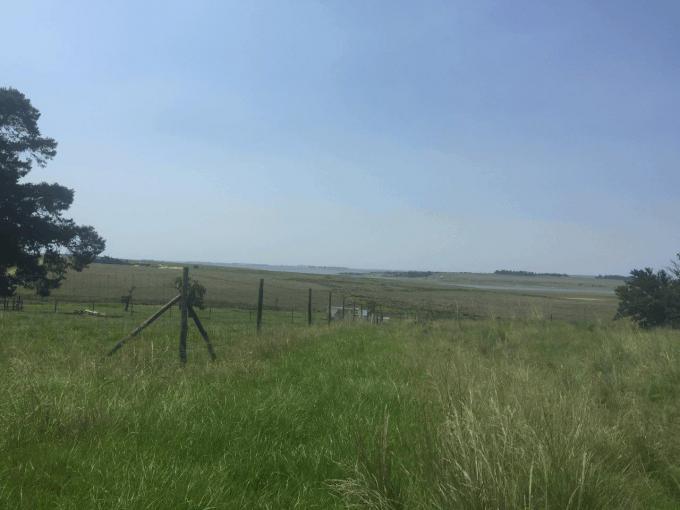 Land for Sale For Sale in Chrissiesmeer - MR693188