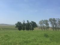  of property in Chrissiesmeer