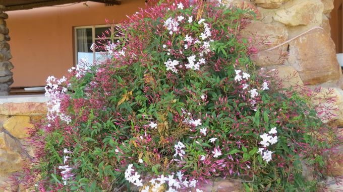Farm for Sale For Sale in Ladismith - MR693195