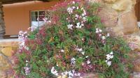 Farm for Sale for sale in Ladismith
