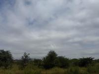  of property in Zinniaville