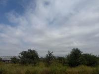  of property in Zinniaville