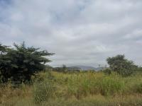  of property in Zinniaville