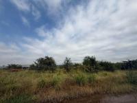  of property in Zinniaville
