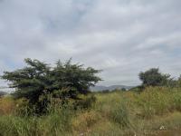 of property in Zinniaville