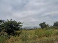  of property in Zinniaville